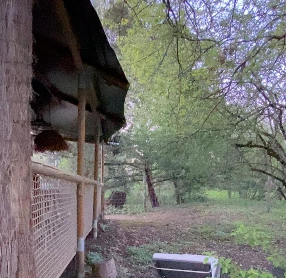 Ecolodge Beauregard Treigny Eksteriør billede