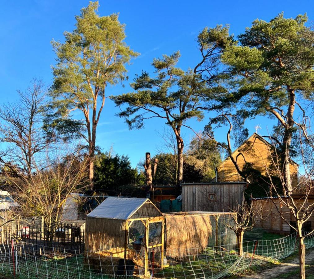 Ecolodge Beauregard Treigny Eksteriør billede