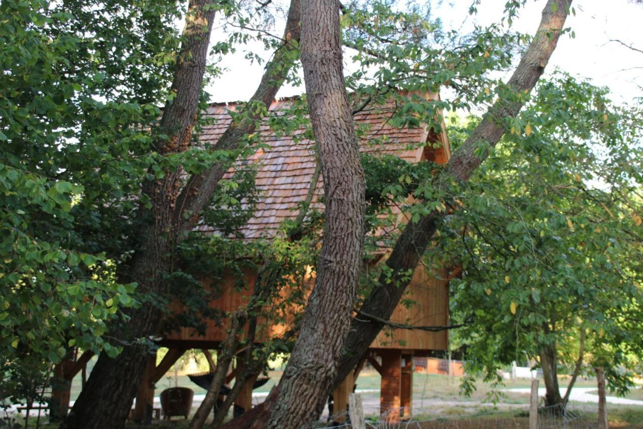 Ecolodge Beauregard Treigny Eksteriør billede