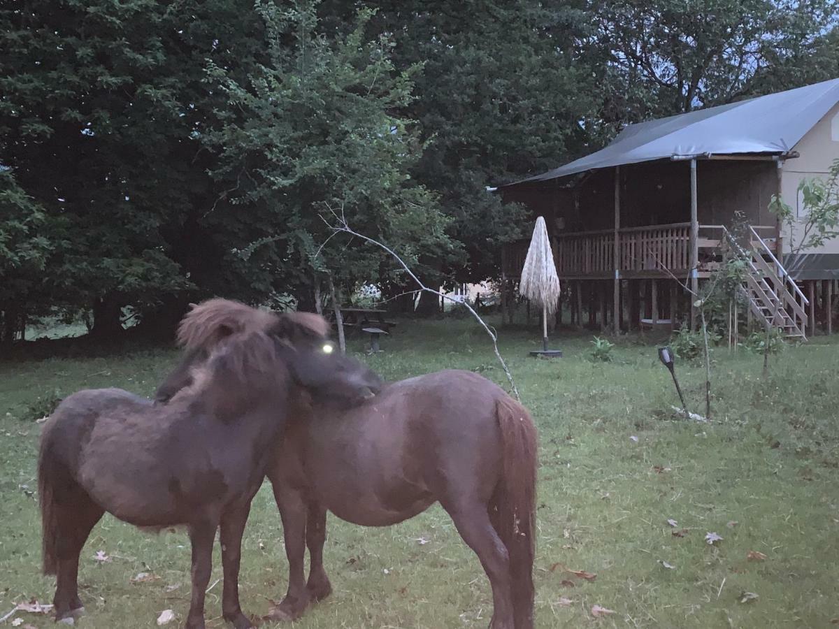 Ecolodge Beauregard Treigny Eksteriør billede