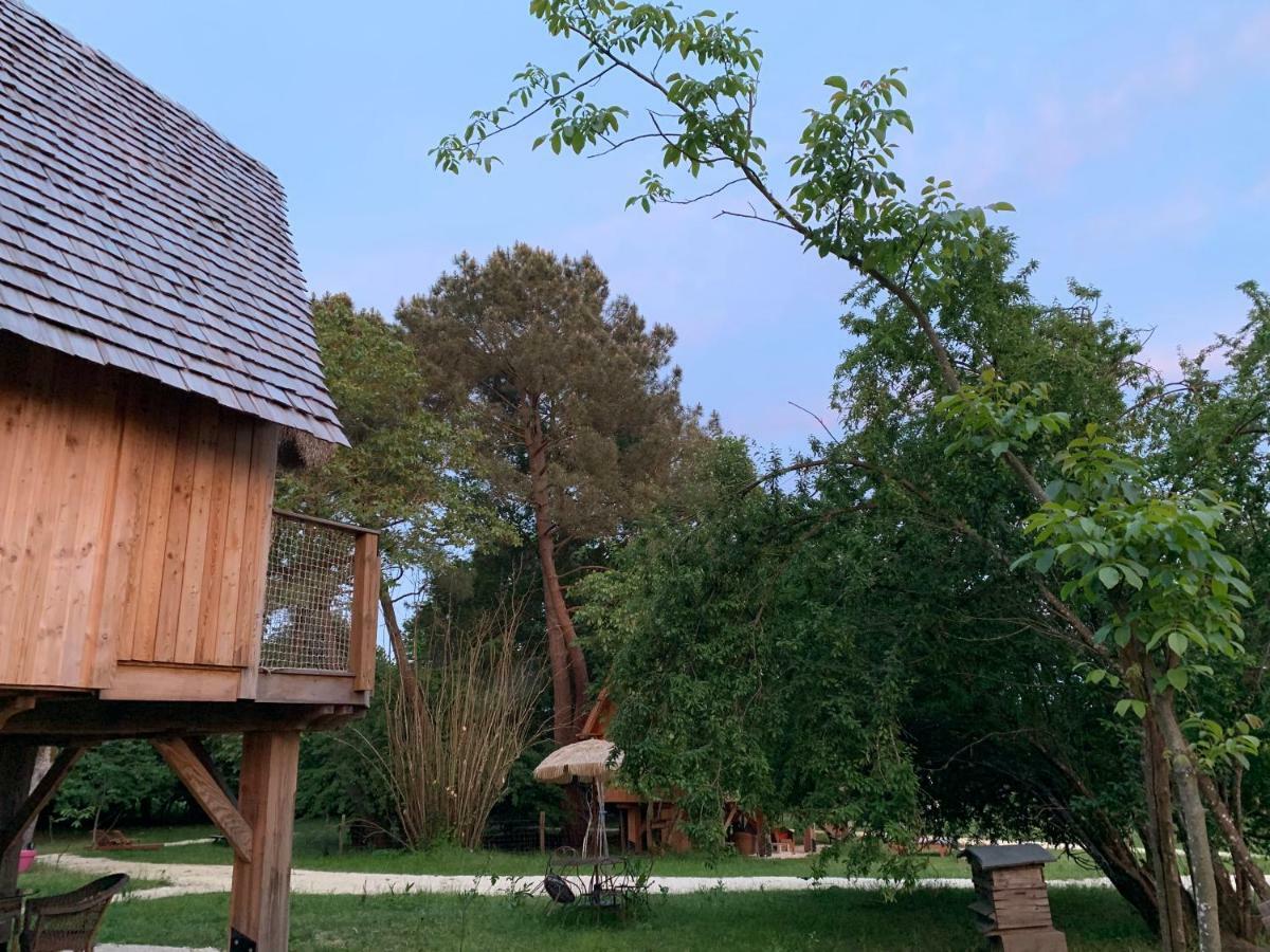 Ecolodge Beauregard Treigny Eksteriør billede