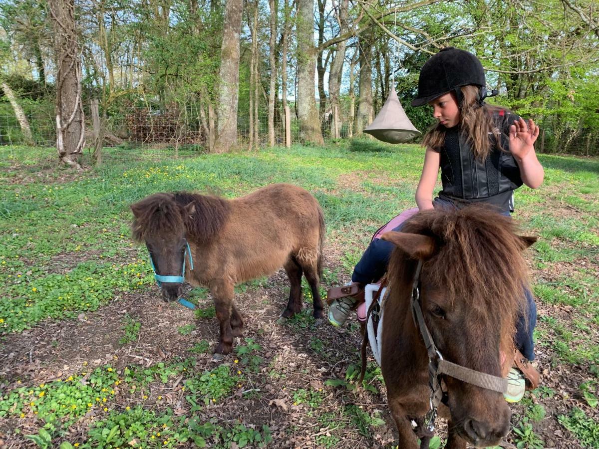 Ecolodge Beauregard Treigny Eksteriør billede